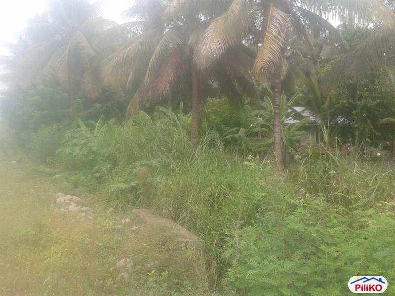 Picture of Other lots for sale in Manila