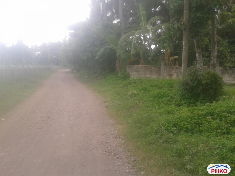 Other lots for sale in Manila in Metro Manila