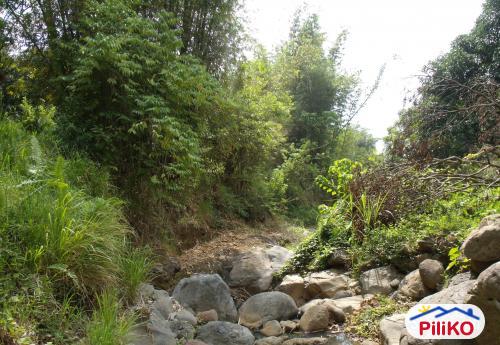 Picture of Agricultural Lot for sale in Davao City in Philippines
