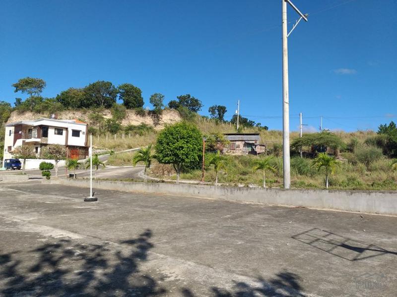 Residential Lot for sale in Minglanilla - image 10