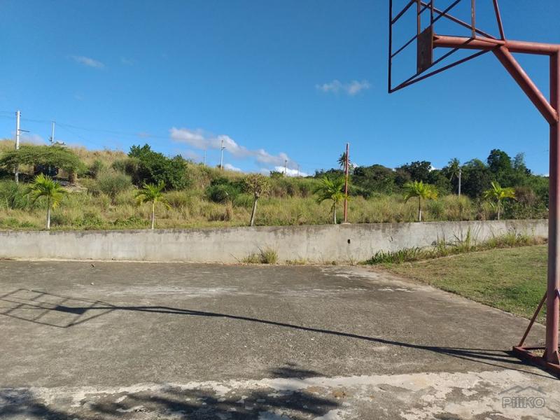 Residential Lot for sale in Minglanilla - image 11