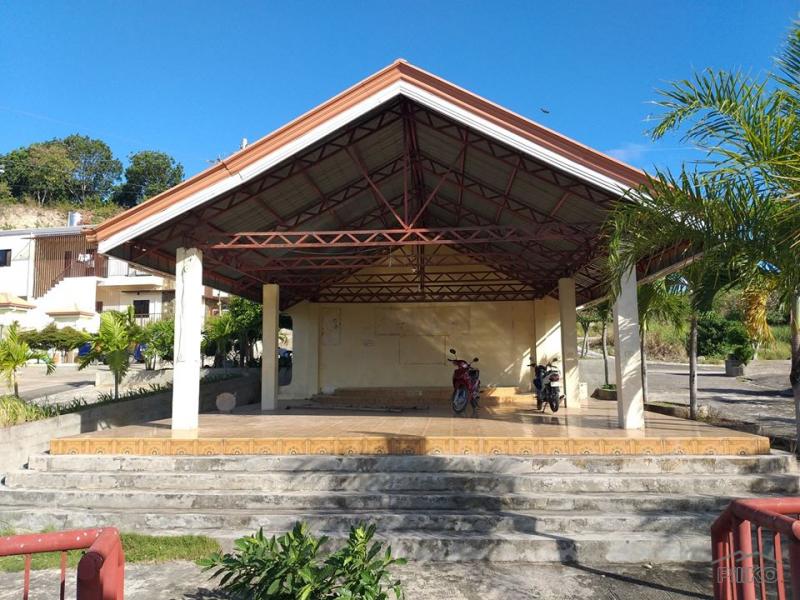 Residential Lot for sale in Minglanilla - image 12