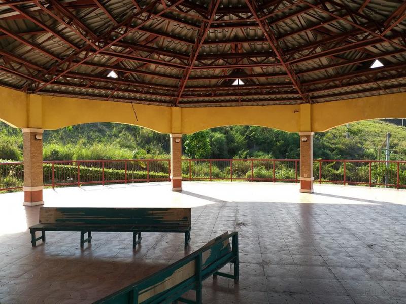 Residential Lot for sale in Minglanilla - image 14