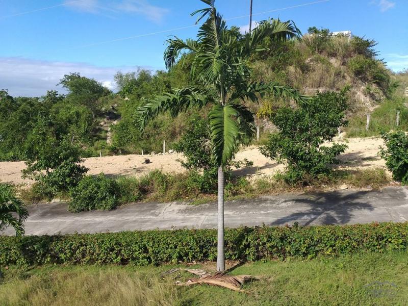 Residential Lot for sale in Minglanilla - image 16