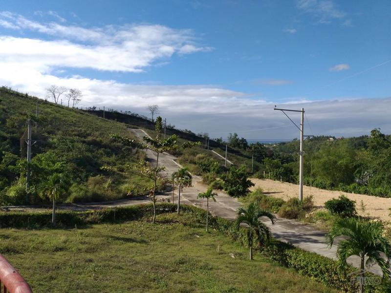 Residential Lot for sale in Minglanilla - image 17