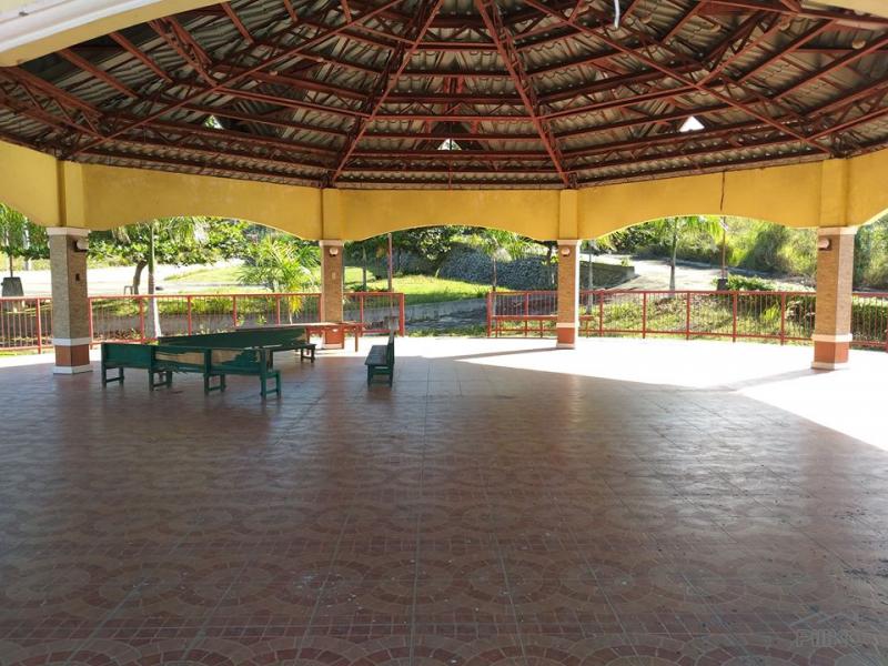 Residential Lot for sale in Minglanilla - image 18