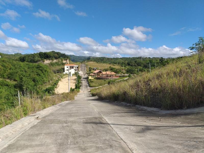 Residential Lot for sale in Minglanilla - image 19