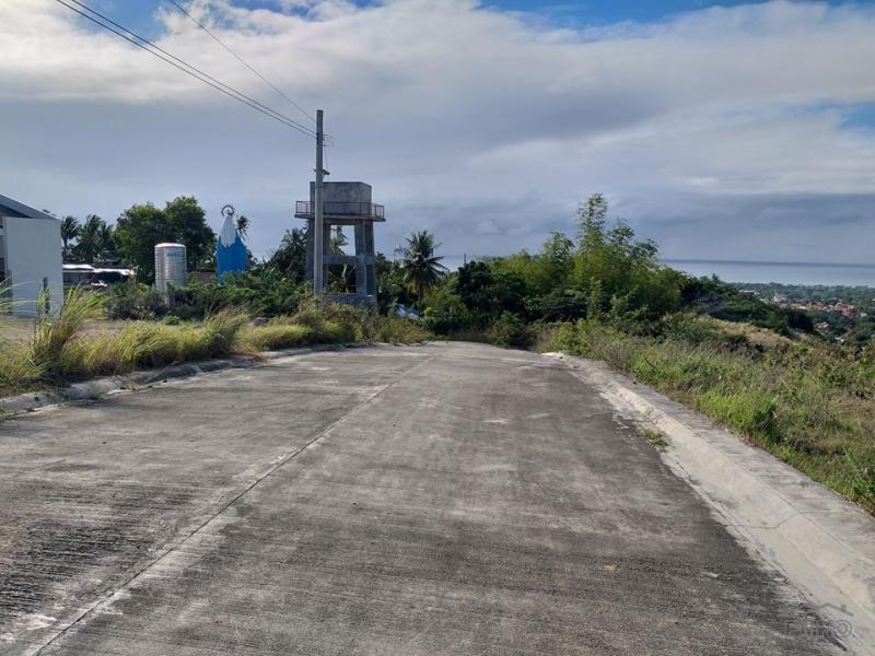 Residential Lot for sale in Minglanilla - image 20