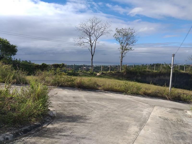 Residential Lot for sale in Minglanilla - image 21