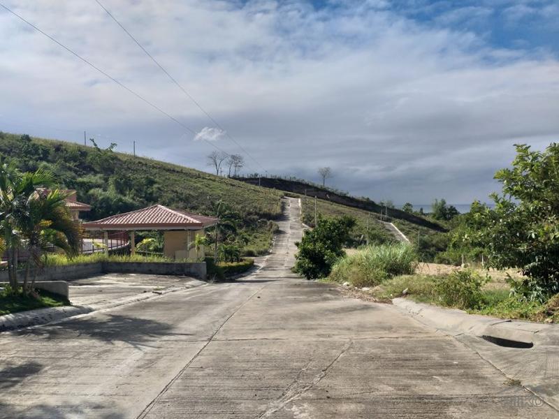 Residential Lot for sale in Minglanilla - image 22