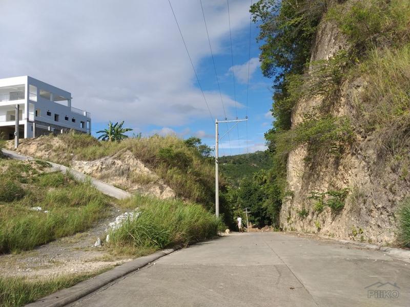 Residential Lot for sale in Minglanilla - image 23