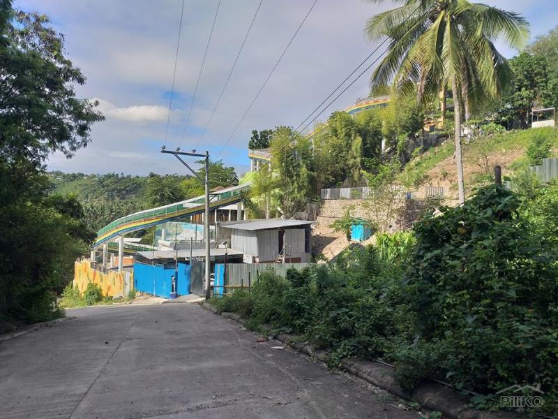 Residential Lot for sale in Minglanilla - image 24