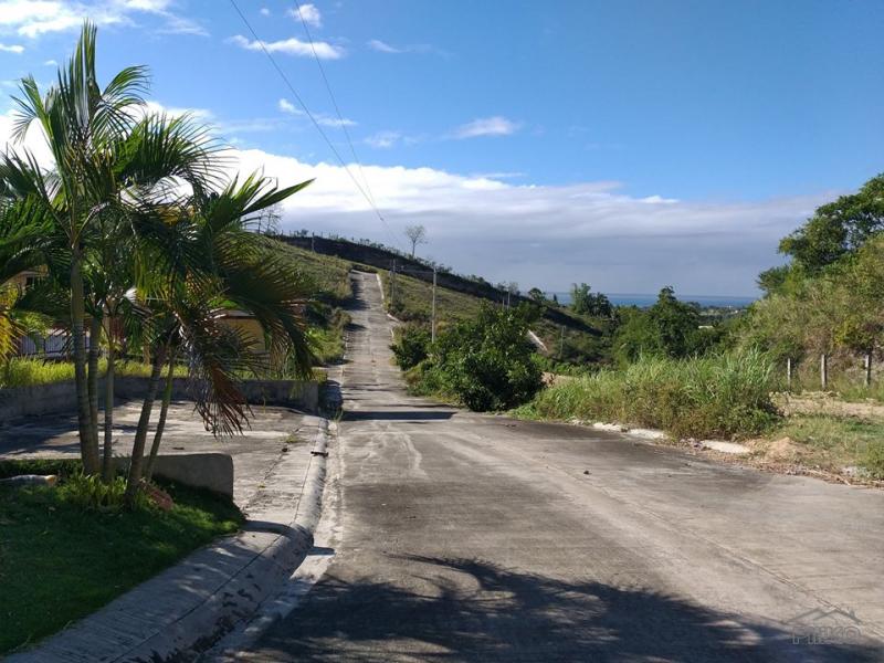 Residential Lot for sale in Minglanilla - image 2