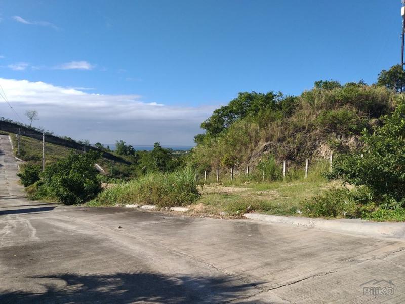 Residential Lot for sale in Minglanilla - image 5
