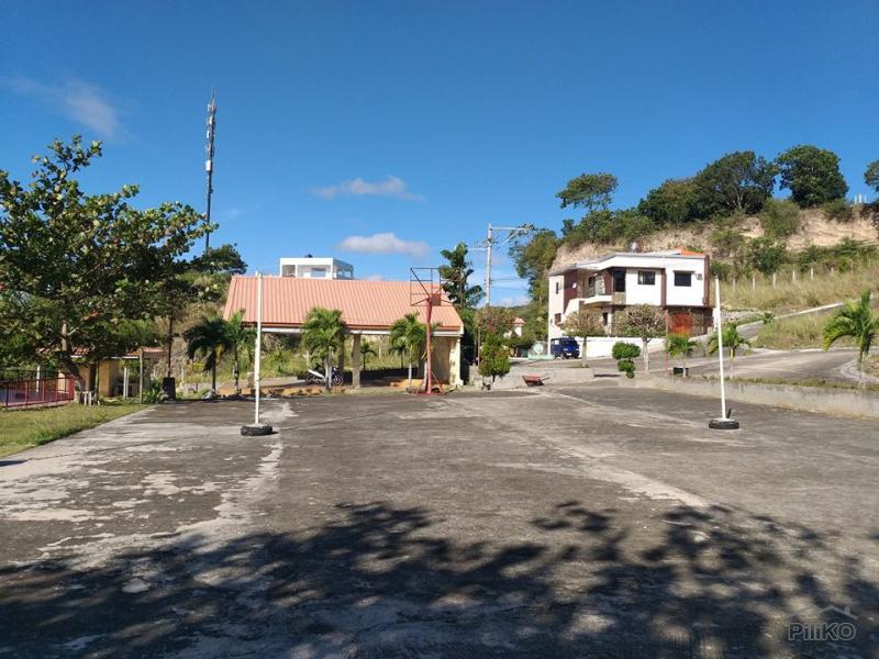 Residential Lot for sale in Minglanilla - image 9
