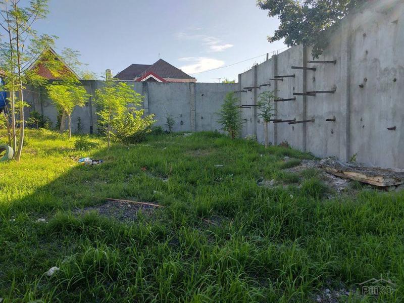 Pictures of Other lots for sale in Minglanilla