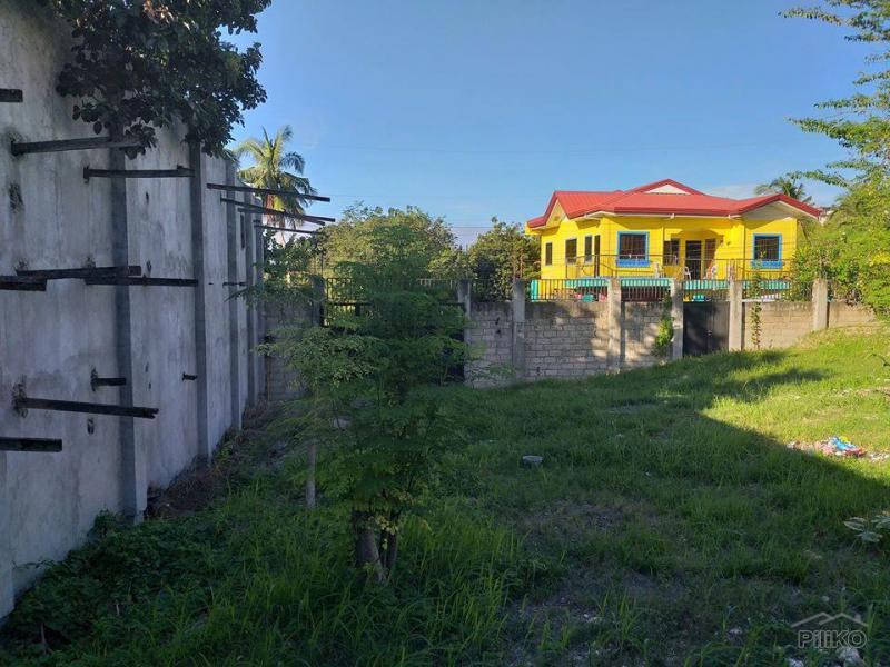 Other lots for sale in Minglanilla
