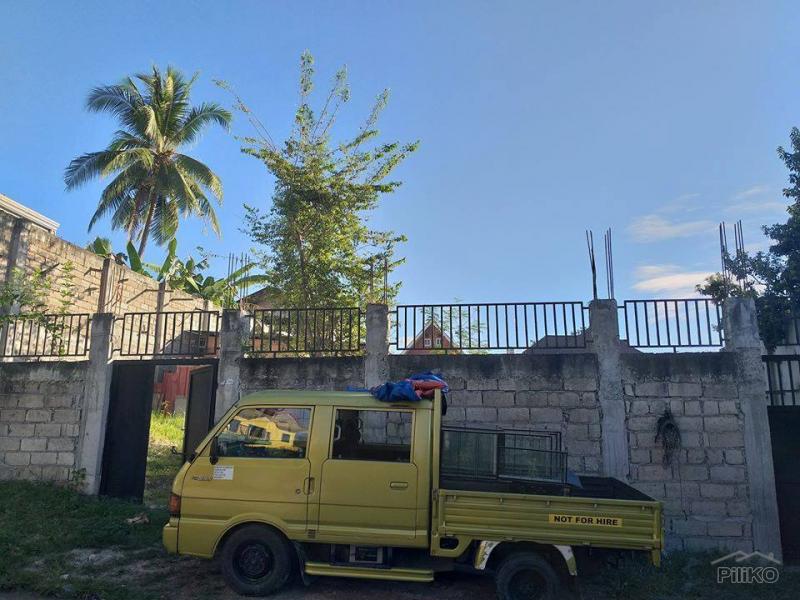 Other lots for sale in Minglanilla in Cebu