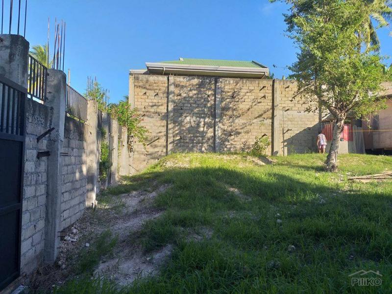 Other lots for sale in Minglanilla in Cebu - image