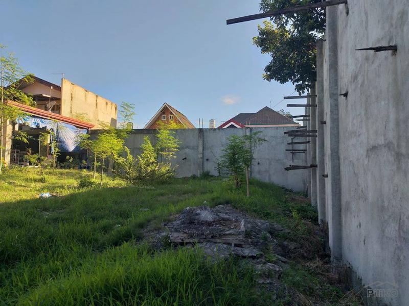 Other lots for sale in Minglanilla in Philippines - image