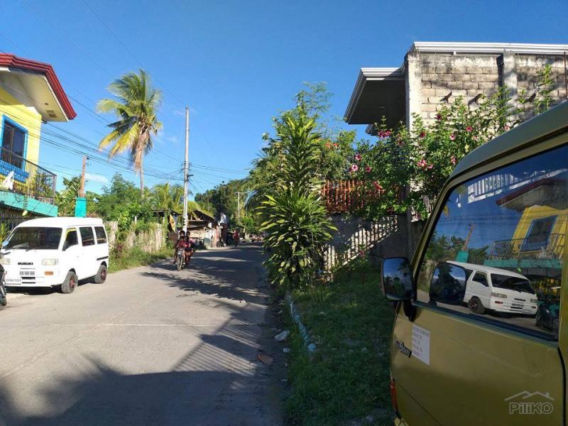 Other lots for sale in Minglanilla - image 9