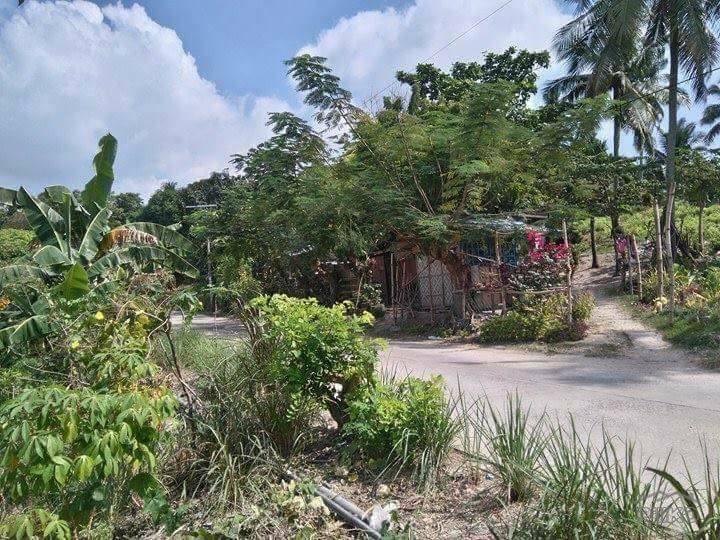 1 bedroom House and Lot for sale in Talisay in Cebu