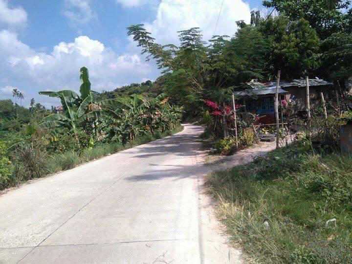 1 bedroom House and Lot for sale in Talisay in Philippines