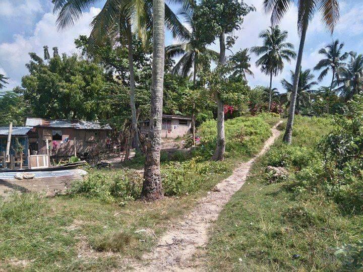 1 bedroom House and Lot for sale in Talisay - image 5