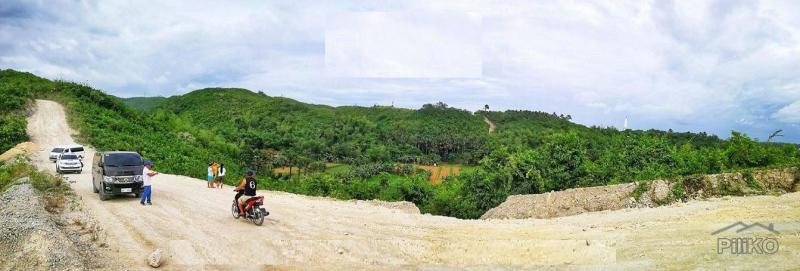 Picture of Residential Lot for sale in Consolacion
