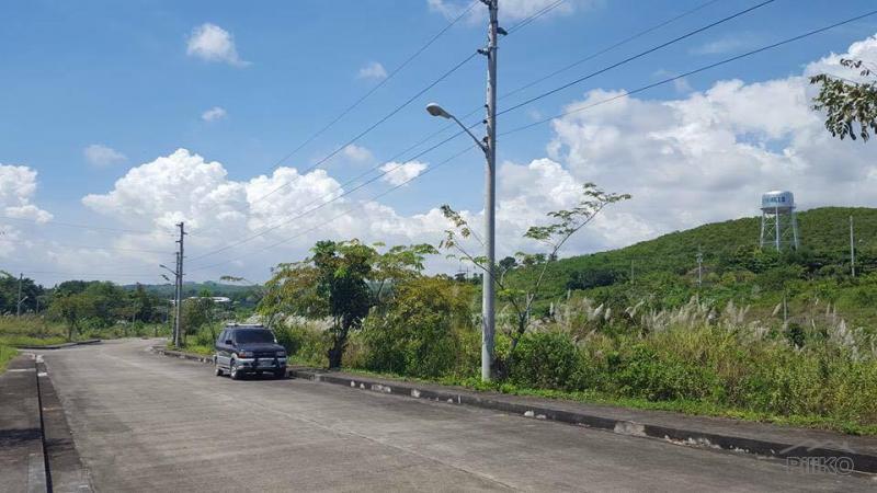 Picture of Residential Lot for sale in Compostela