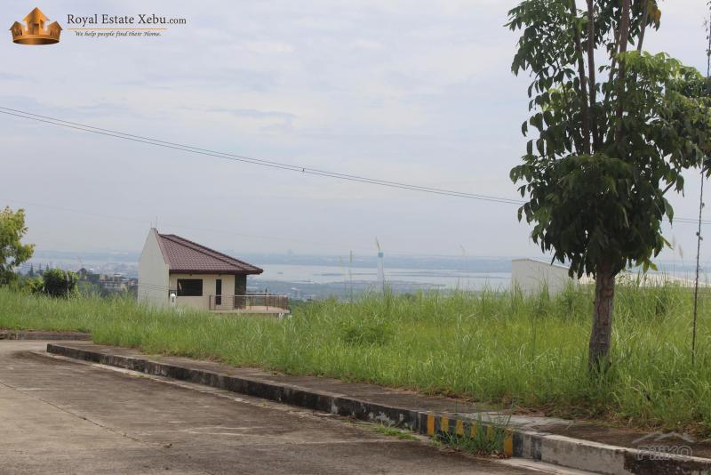 Residential Lot for sale in Talisay - image 3