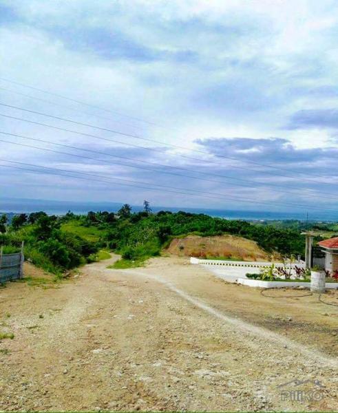 Residential Lot for sale in Minglanilla - image 2