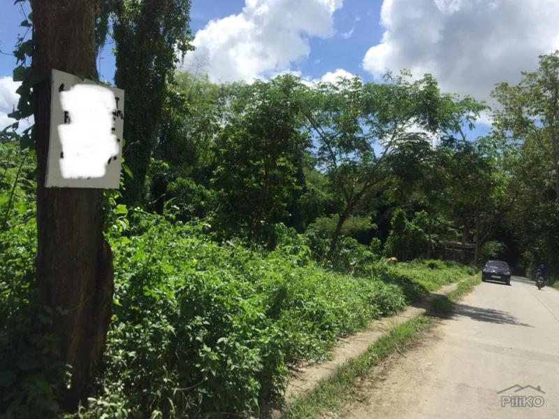 Picture of Residential Lot for sale in Cebu City