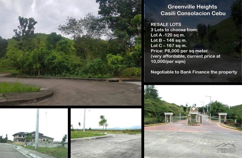 Pictures of Residential Lot for sale in Consolacion
