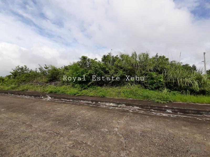 Pictures of Residential Lot for sale in Talisay