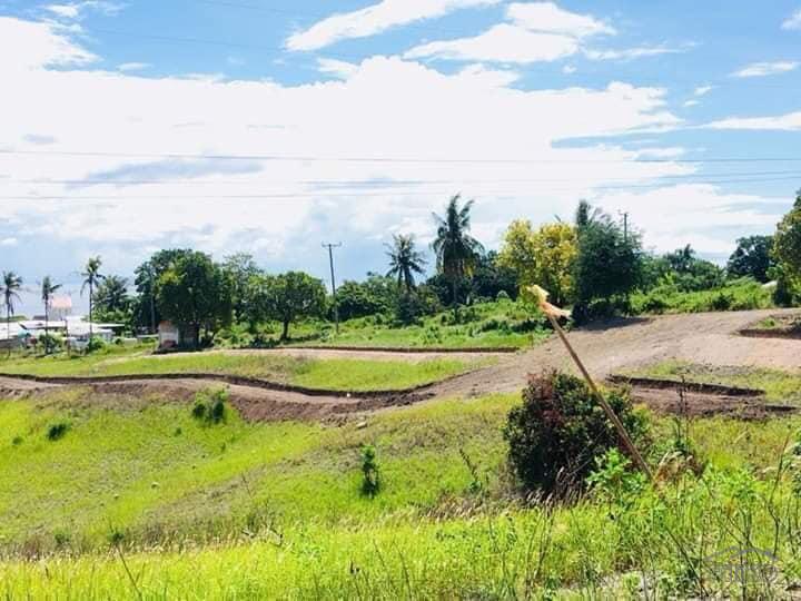 Picture of Residential Lot for sale in San Fernando