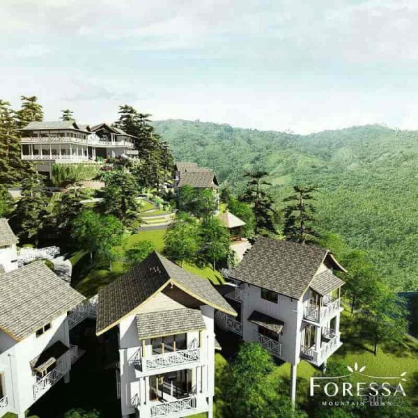 Residential Lot for sale in Balamban - image 2