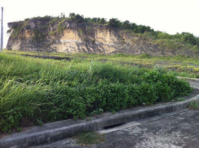 Pictures of Residential Lot for sale in Consolacion