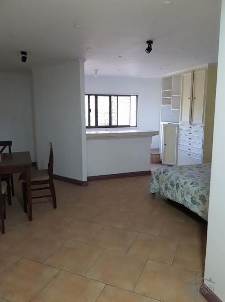 7 bedroom House and Lot for sale in Cebu City - image 6