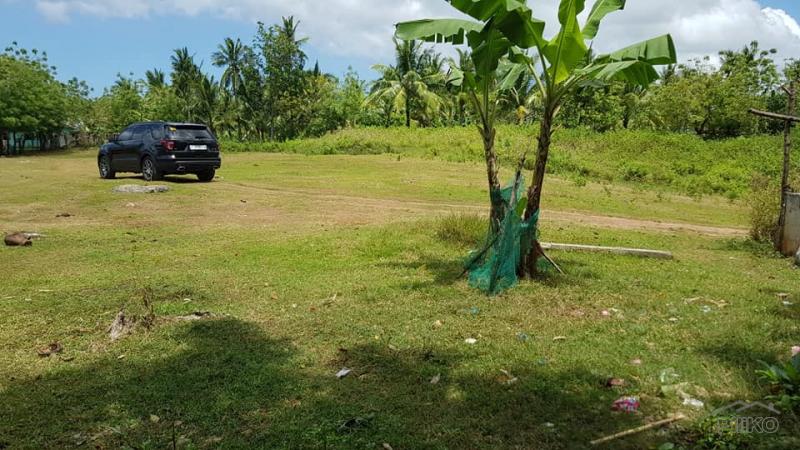 Picture of Residential Lot for sale in San Remigio