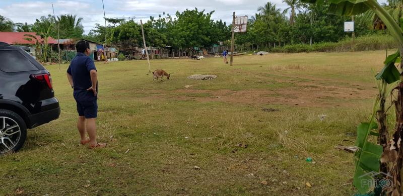 Residential Lot for sale in San Remigio