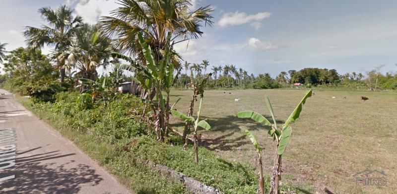 Residential Lot for sale in San Remigio - image 3