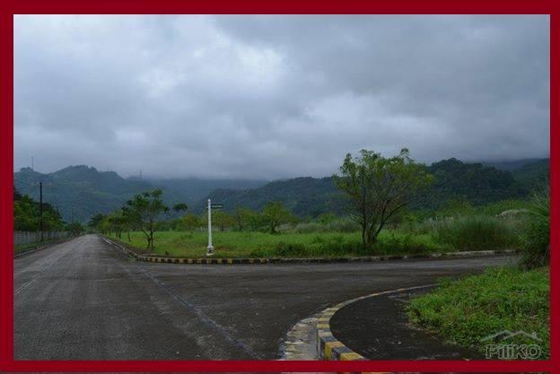 Residential Lot for sale in Baras - image 6
