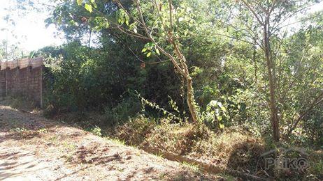 Picture of Residential Lot for sale in Rodriguez in Rizal