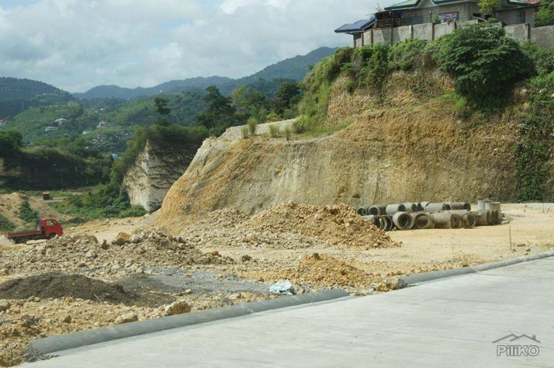 Residential Lot for sale in Mandaue - image 2