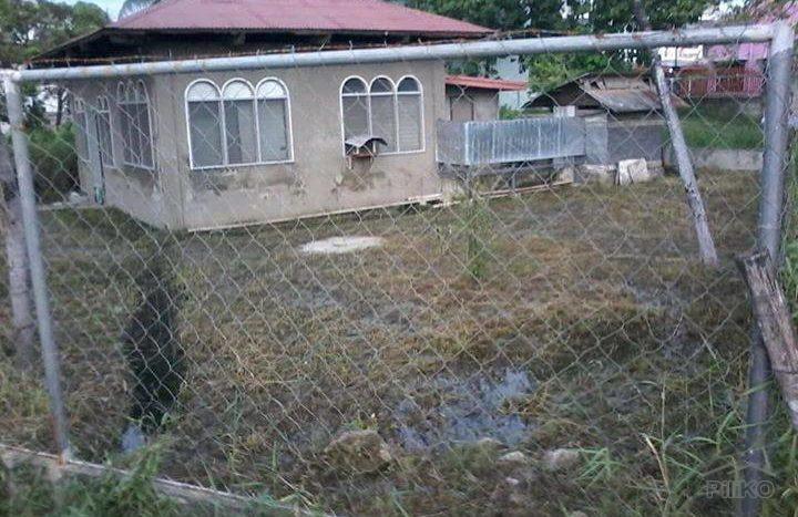 Commercial Lot for sale in Cebu City - image 3