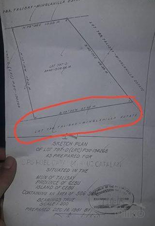 Commercial Lot for sale in Cebu City - image 4