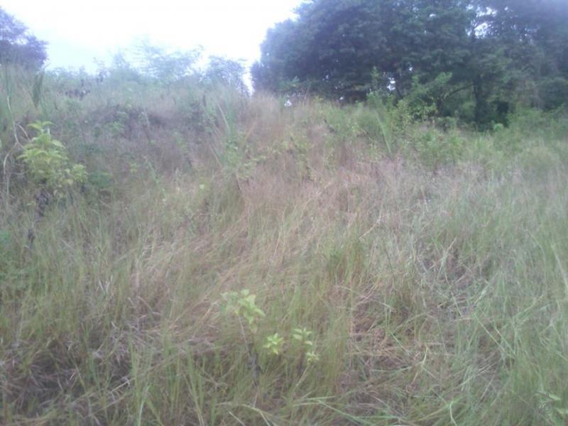 Agricultural Lot for sale in Ronda in Philippines