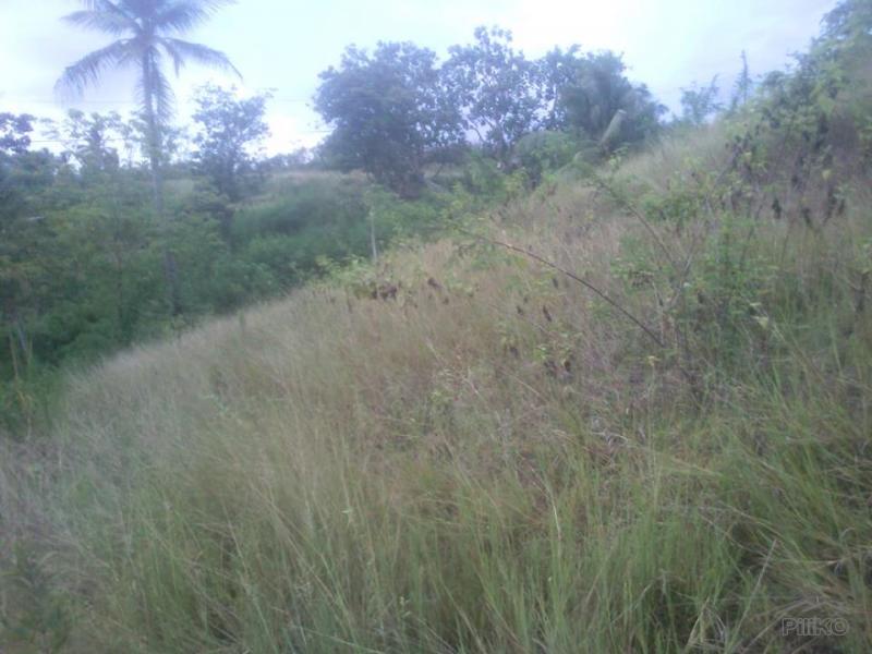 Picture of Agricultural Lot for sale in Ronda in Cebu