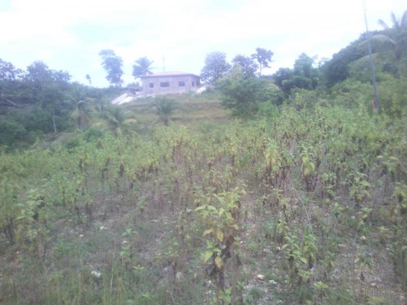 Agricultural Lot for sale in Ronda - image 7
